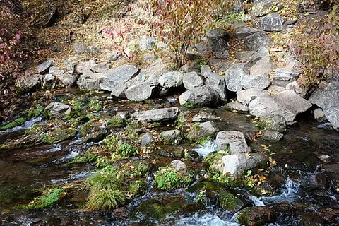 A small stream flows over mossy rocks and autumn foliage.