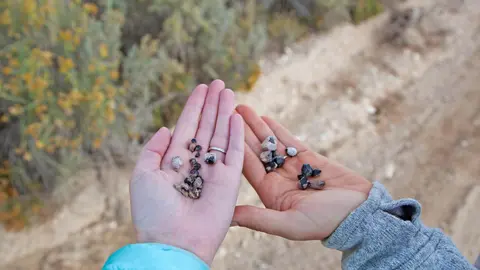 Two open hands holding small dark stones outdoors.