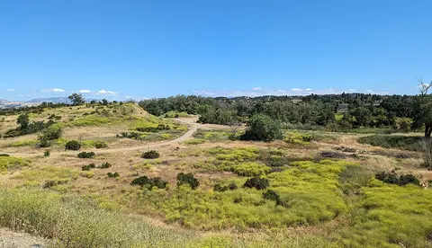 A dirt path winds through grassy hills and low vegetation under a clear blue sky.