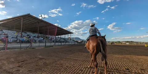 A person rides a horse in an arena next to grandstands with spectators.