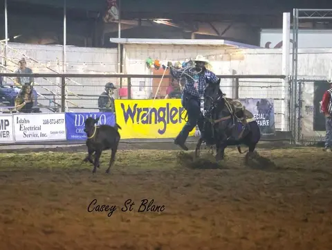 A cowboy on horseback ropes a calf in an arena.
