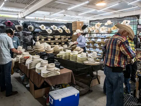 A store interior displaying numerous cowboy hats on shelves and tables.