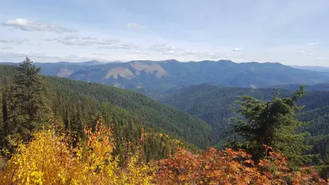 A scenic view of rolling mountains covered in forests under a blue sky.
