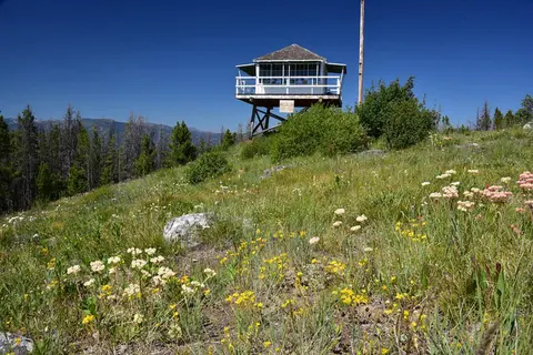 A fire lookout tower stands on a grassy, flower-covered hill under a clear blue sky.