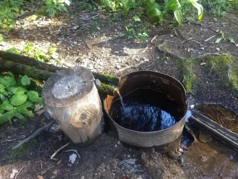 Water flowing from a wooden pipe into a rusty metal barrel in a forest.