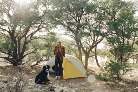 A person and a dog stand outside a yellow tent set up among trees.