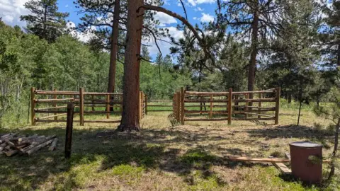 A wooden fence encloses an area among trees in a forest.
