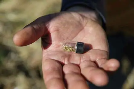 A person holds a small glass vial filled with gold flakes in their hand.