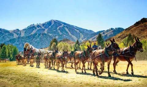 A wagon train pulled by mules travels through a valley with mountains in the background.