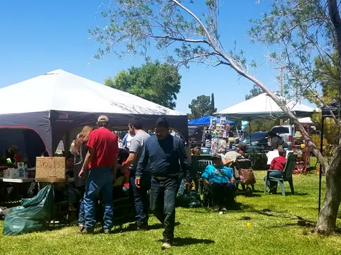 People gather under tents at an outdoor event on a sunny day.