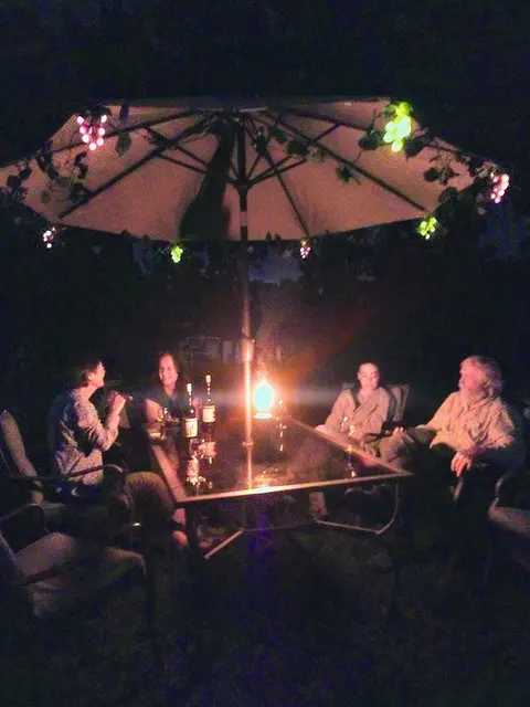 Four people sit around an outdoor table under an illuminated umbrella at night.