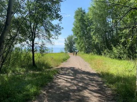 A dirt trail winds through a grassy, wooded area on a sunny day.