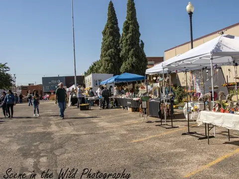 An outdoor street market with tents, vendors, and shoppers in a parking lot.
