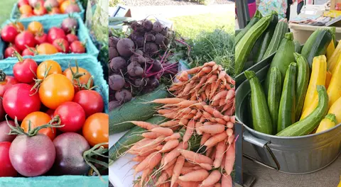 Fresh vegetables are displayed in crates and buckets at an outdoor market.