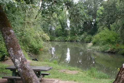 A wooden picnic table sits near a calm body of water surrounded by trees.