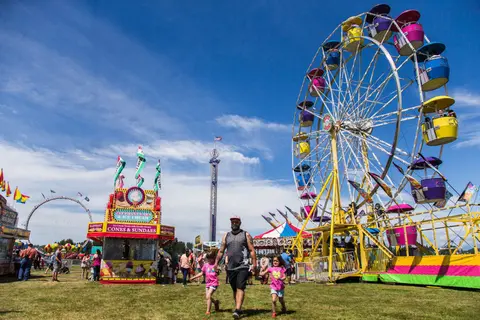 A family walks on the grass at an amusement park with a Ferris wheel.