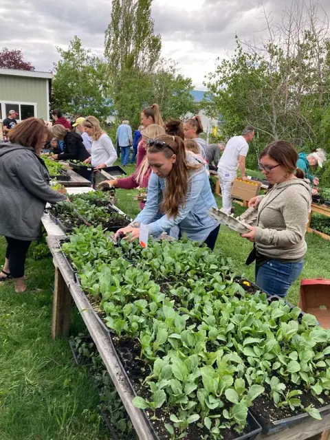 People gather around outdoor tables filled with small plant seedlings.