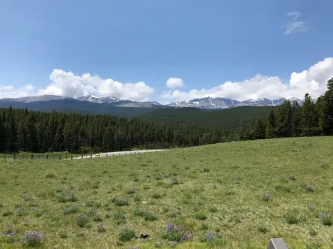 A scenic mountain landscape with a grassy foreground, forest, and snow-capped peaks under a blue sky.