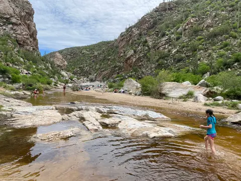 A shallow river flows through a desert canyon with rocky walls and cacti.