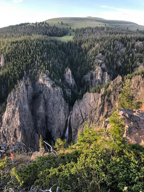 A tall waterfall drops into a deep rocky canyon surrounded by dense pine forests.