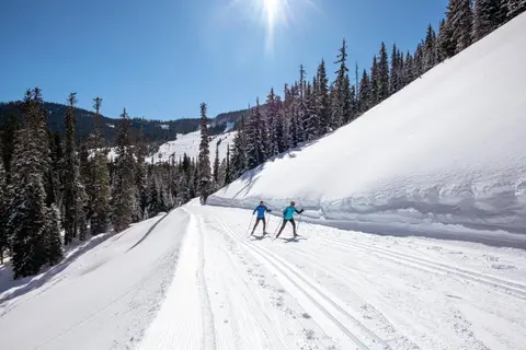 Two cross-country skiers glide along a snowy trail lined with pine trees.