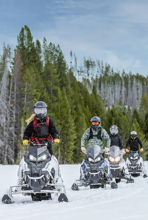 People ride snowmobiles through a snowy forest.
