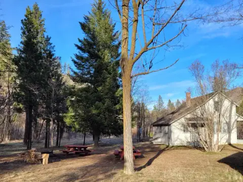 A white house stands in a wooded area with tall trees and picnic tables.