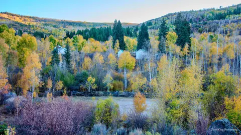 A landscape view of mountains with autumn trees and green evergreens.