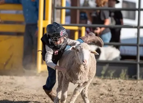 A child wearing a helmet rides a sheep in a rodeo event.