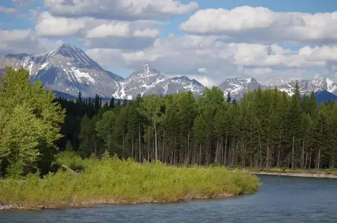 A river flows past a dense forest with snow-capped mountains in the background.