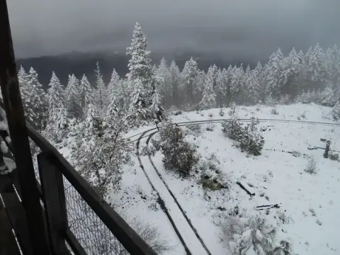 A snowy landscape with a winding track and evergreen trees seen from an elevated walkway.