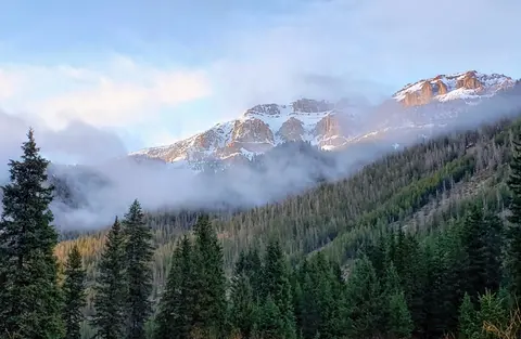 A photo of a mountain range covered in snow and fog, with a forest in the foreground.
