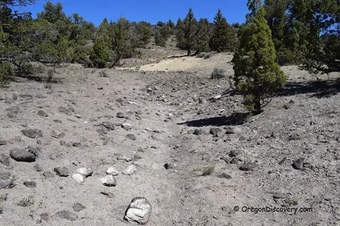 A dry rocky landscape with sparse trees under a blue sky.