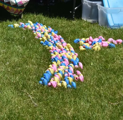 A large group of colorful rubber ducks arranged in a winding line on grass.