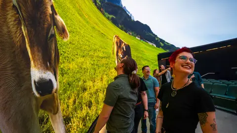 People looking at a large display showing a cow on a green hillside.