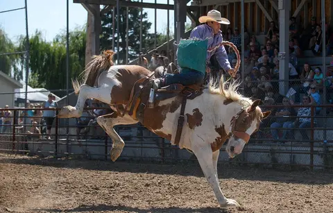 A cowboy rides a bucking horse at a rodeo event.