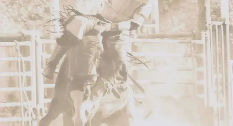 A cowboy rides a bucking horse out of a chute.