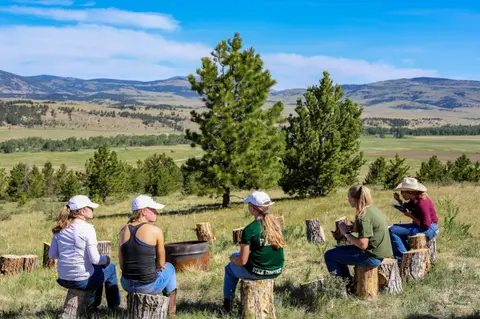 A group of people sitting on tree stumps in a field overlooking a valley.