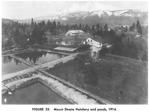 Historic photograph showing Mount Shasta Hatchery and ponds with mountains in the background in 1914.