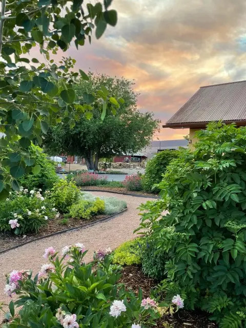 A gravel path winds through a lush garden toward a building at sunset.