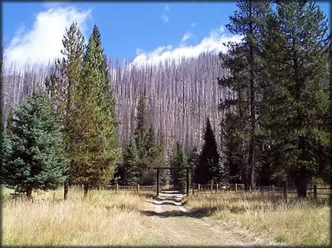 A dirt path leads toward a wooden arch and fence framed by green trees and a hillside of burnt trees.