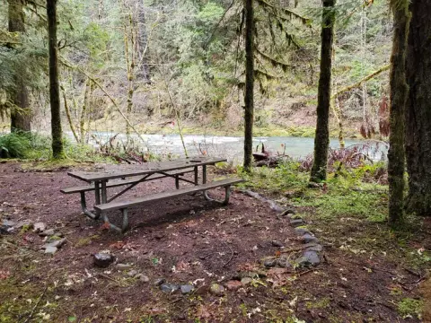 A wooden picnic table sits in a forest clearing near a river.