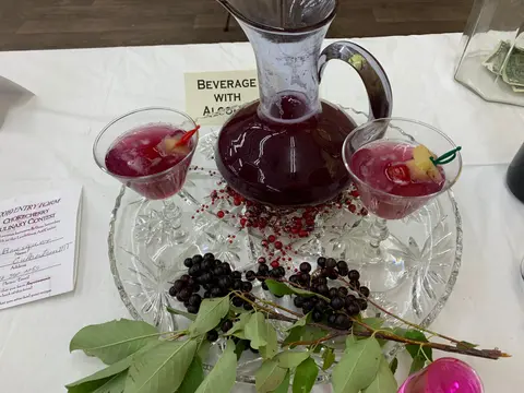 A pitcher and two glasses filled with a dark red beverage sitting on a glass tray with fruit and branches.