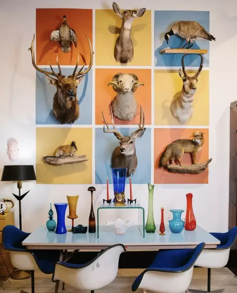 An interior view showing taxidermy mounts on a wall above a table with vases and chairs.