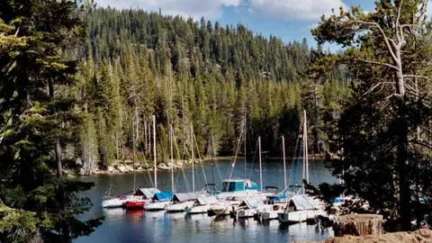 Several sailboats docked in a forest-rimmed cove on a lake.