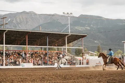 A cowboy rides a bucking horse in an arena with a crowd in the stands.