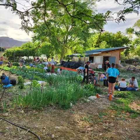 People working in a community garden.