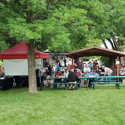 People gather at picnic tables under trees during an outdoor community event.