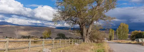 A dirt road runs past a wooden fence and large trees under a cloudy sky.