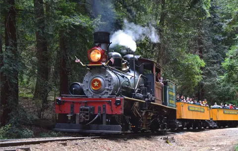 A steam locomotive pulling passenger cars through a forest.